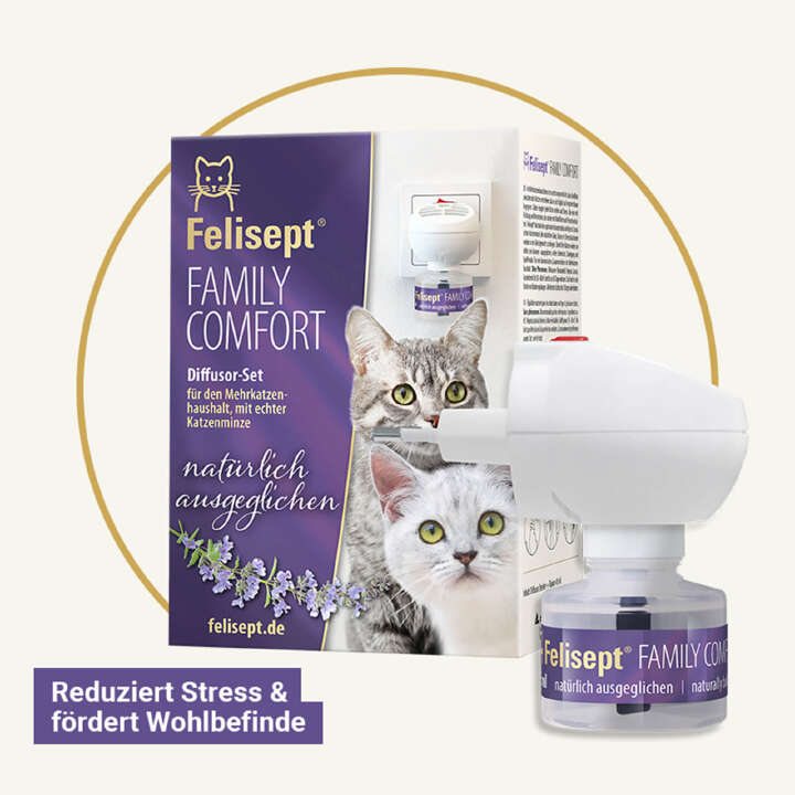 felisept family comfort set fuer mehrkatzenhaushalt 800x800 1